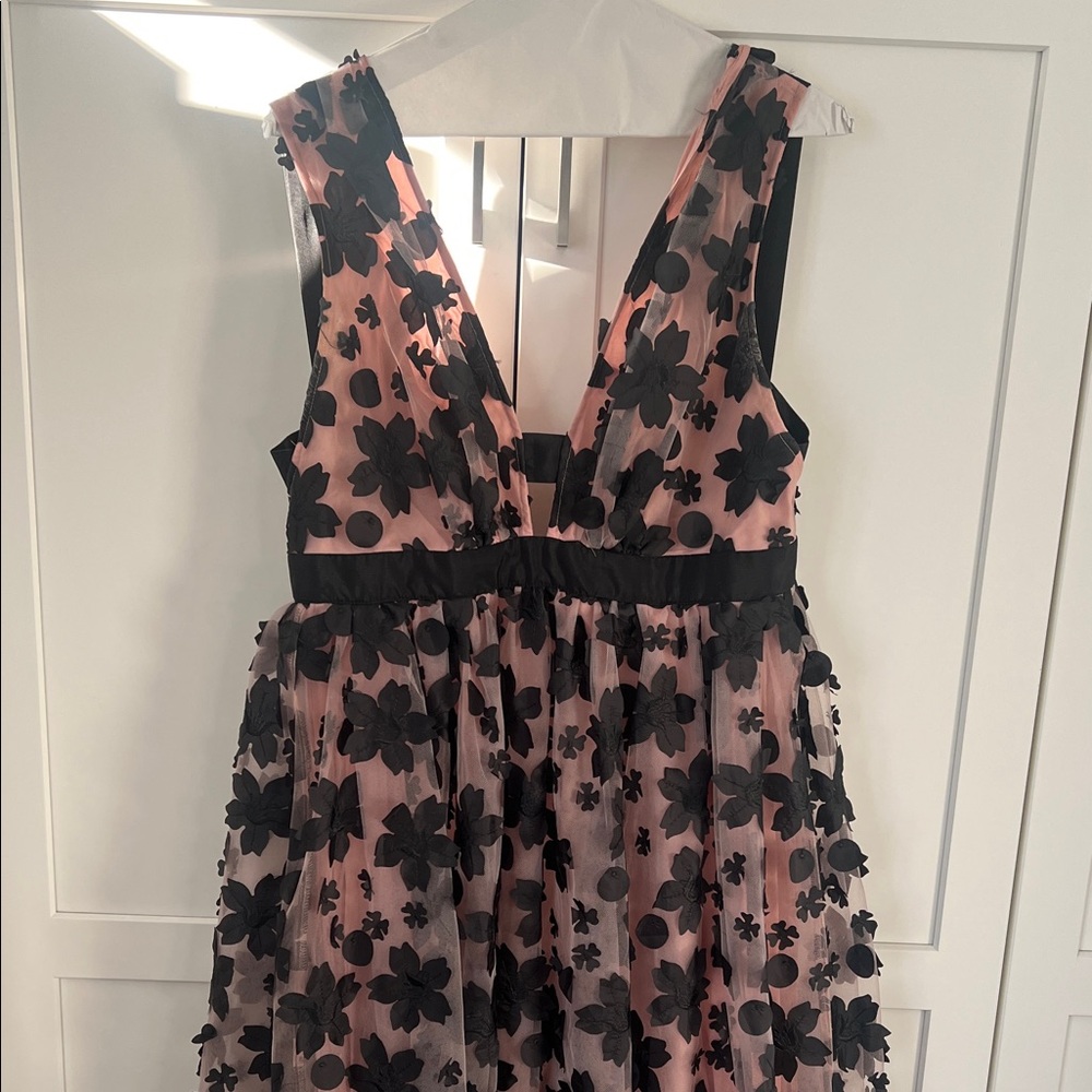 Anthropologie Pink and Black Floral Dress